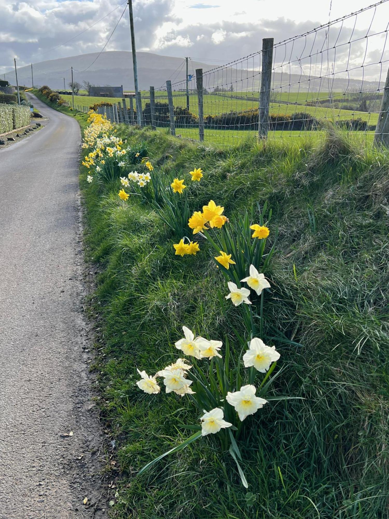 Tornaroan Cottage Ballycastle Kültér fotó